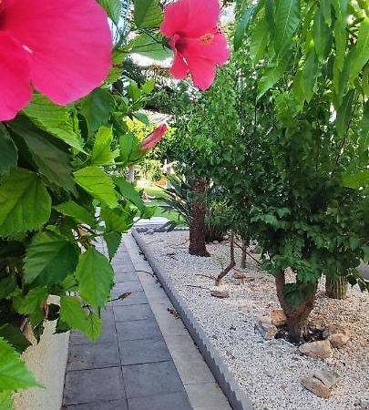 Estudio De Lujo Torrevieja Kültér fotó