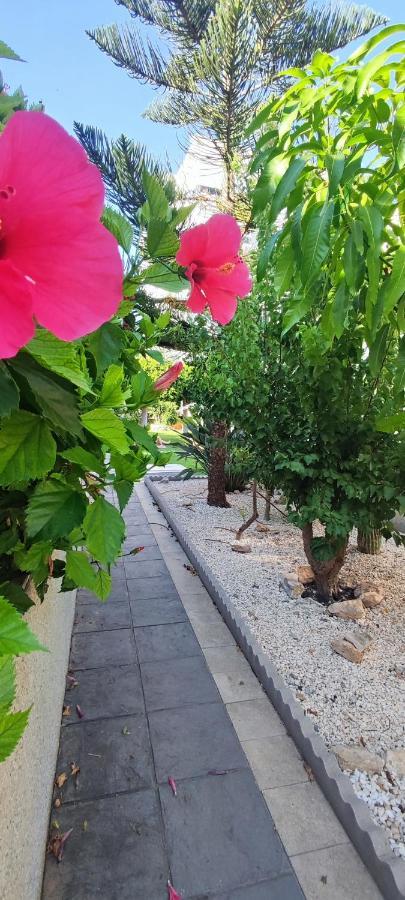 Estudio De Lujo Torrevieja Kültér fotó